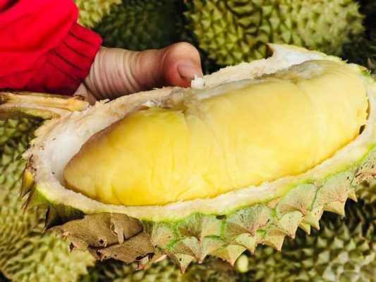 Sầu Riêng RI6 Long Khánh Tại Navi Fruit