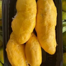 hình ảnh sầu riêng 